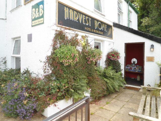 Harvest Home Guest House 태비스톡 외부 사진